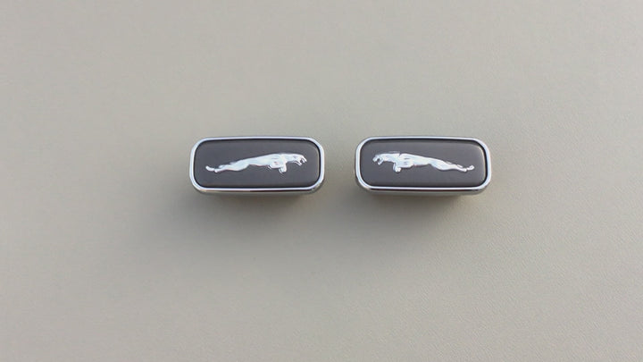 1998-2003 Jaguar XJ8 XJ8L Fender Emblem Set